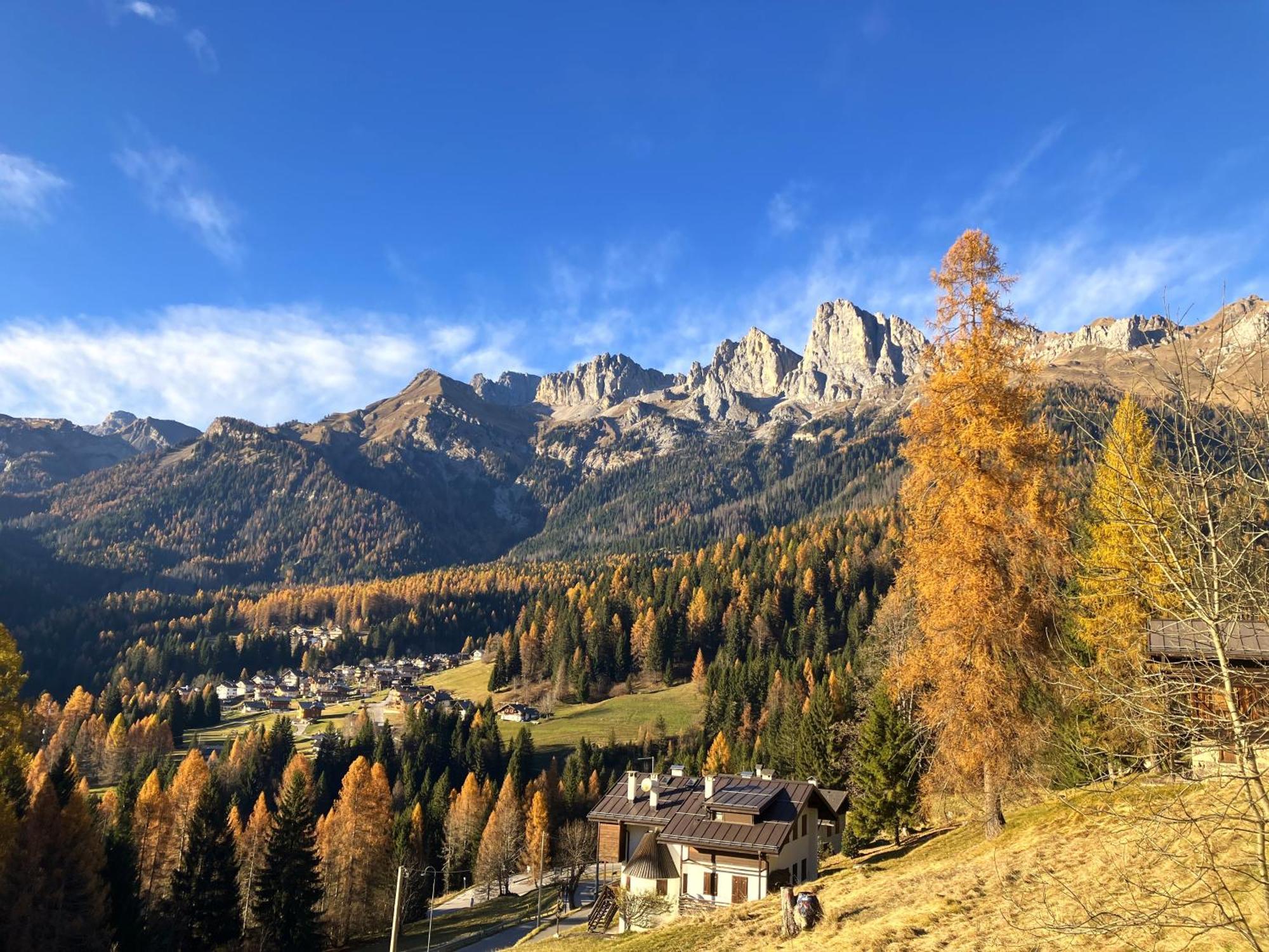 Appartamento Dolomiti Dream 1 Фалкаде Екстериор снимка